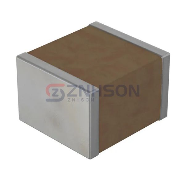 RF2525B824K101KX165T Preview