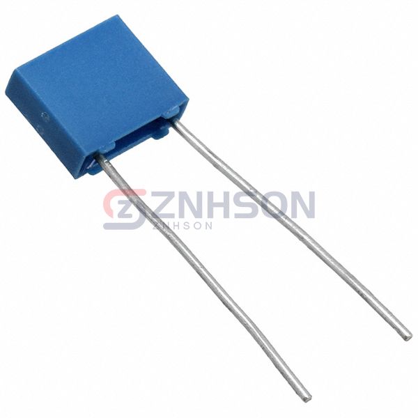 B32529C6222K189 Preview