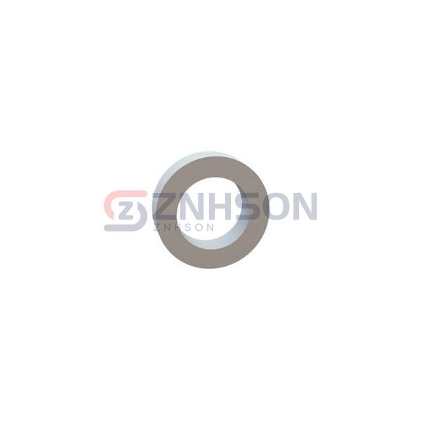 13RS075991 Preview