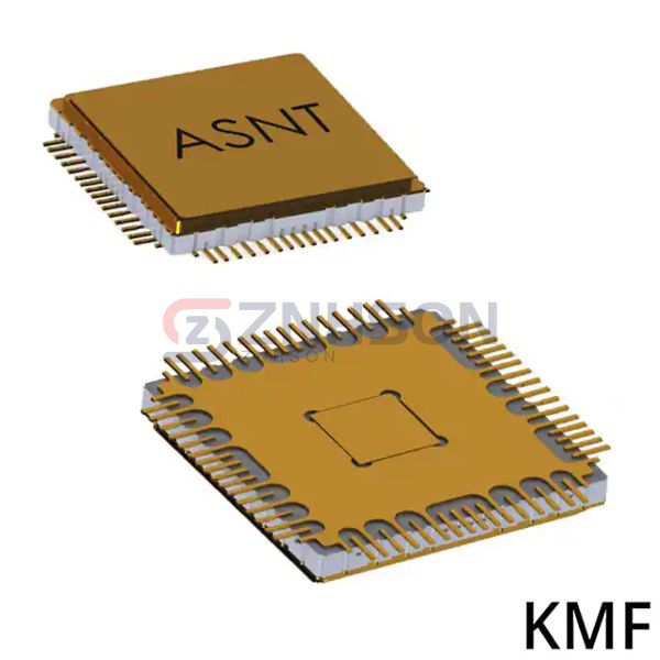 ASNT2110D-KMF Preview