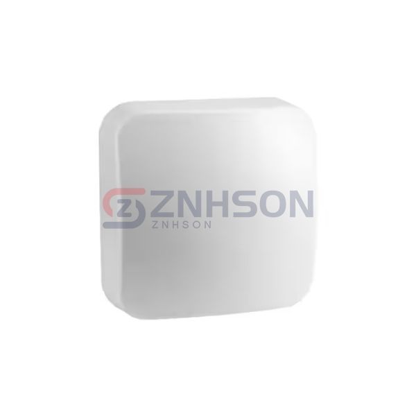 FPMI2458-DP806NM Preview