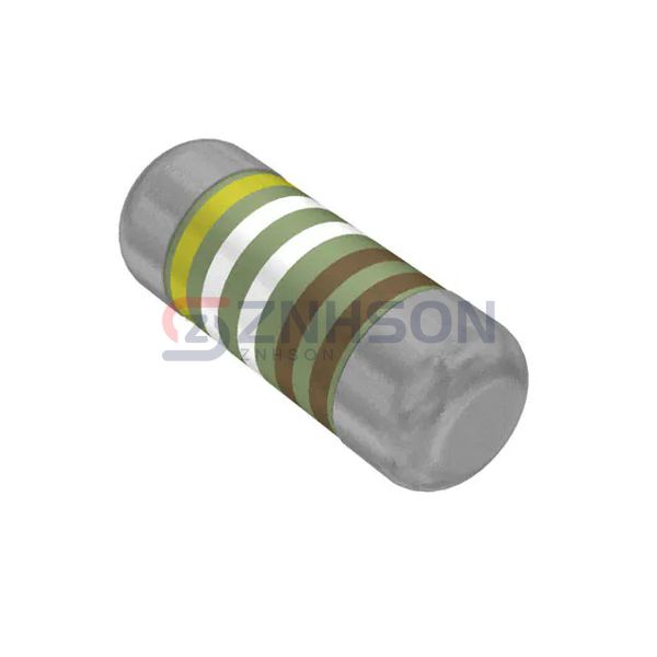 SMM02040C4991FB300 Preview