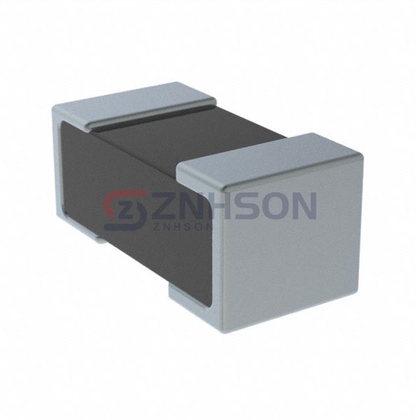 UR73D1ETTPR100F Preview