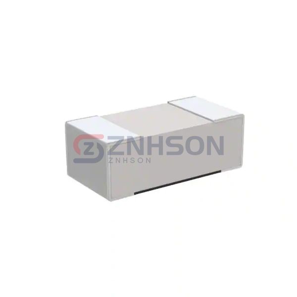 RU1608FR100CS Preview