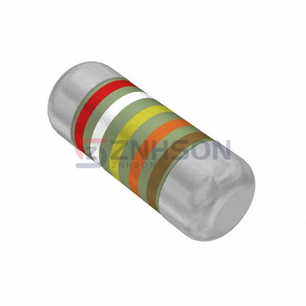 SMM02040C2943FB300 Preview