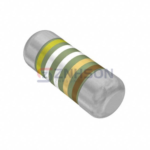 SMM02070C4999FBS00 Preview