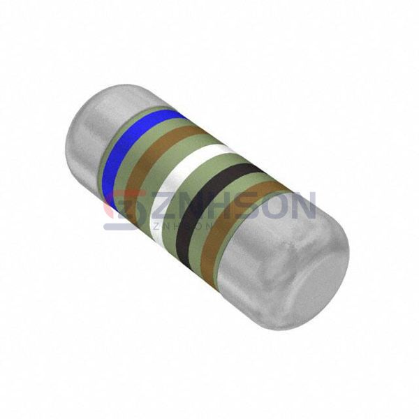 SMM02070C6190FBS00 Preview