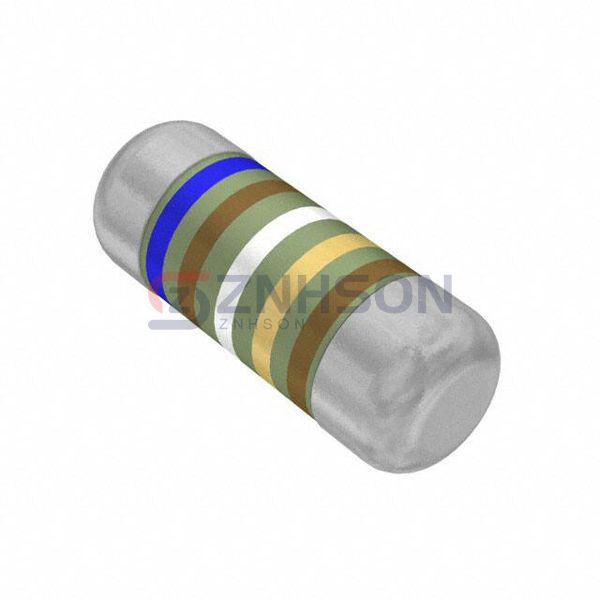 SMM02070C6199FBS00 Preview