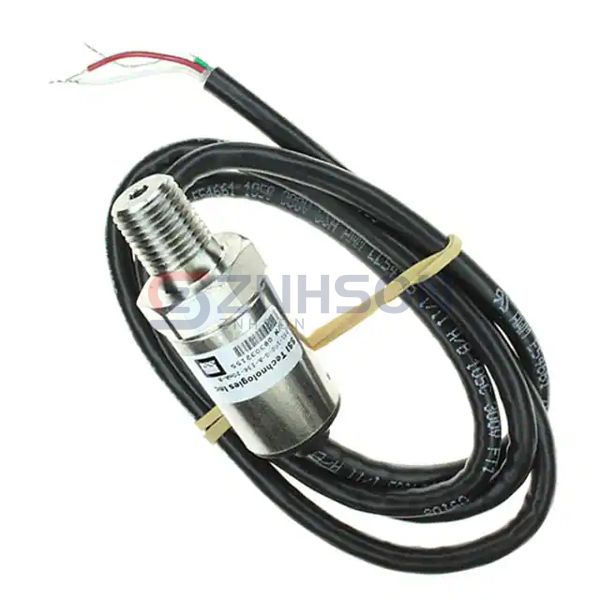 P51-100-G-A-I36-20MA-000-000 Preview