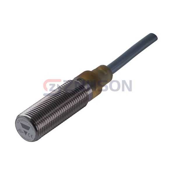 ICB12S30N10PC Preview