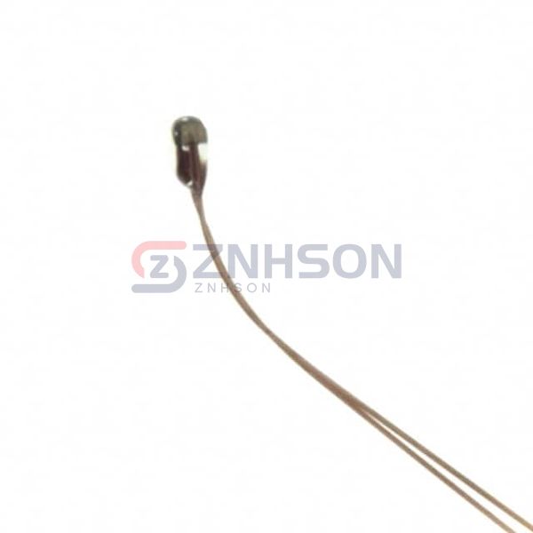 B57550G0303F000 Preview