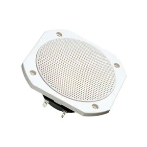 FRS 10 WP - 4 OHM (WHITE)