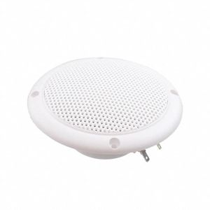 FR 10 WP - 4 OHM (WHITE)