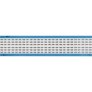 WM-1250-1274-SC-PK
