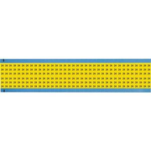 WM-24-YL-SC-PK