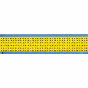 WM-29-YL-SC-PK