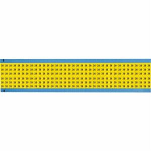 WM-28-YL-SC-PK