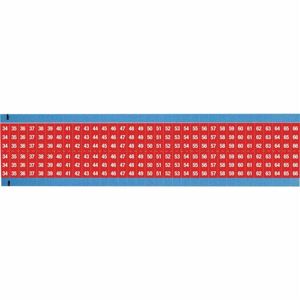 WM-34-66-RD-SC-PK