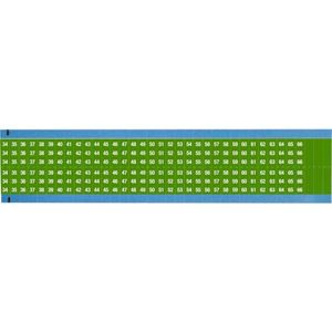 WM-34-66-GR-SC-PK