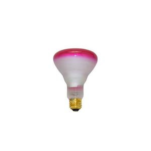 WW-S84L-8