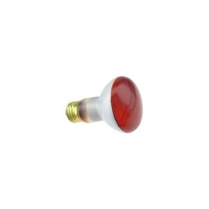 WX-EES7-2